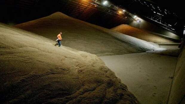 За счет эффекта зыбучих песков попадание в полное зернохранилище часто оказывается смертельным