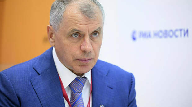 Константинов назвал проект мирного плана Зеленского по Украине «вбросом»