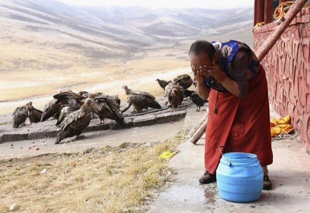 Небесное погребение: как в Тибете избавляются от трупов буддизм, грифы, небесное погребение, похороны, тибет, факты