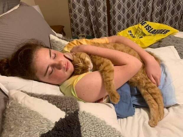 "Мы взяли 11-летнюю кошку из приюта. Они с моей дочкой невероятно сроднились"