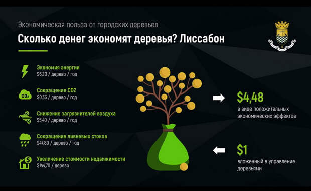 Телеграм-канал под названием " Умное Зеленое" повествует о всё возрастающей важности построения зеленой инфраструктуры города