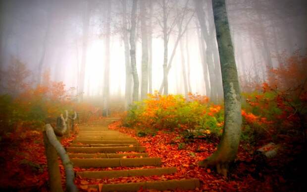 10 осенних фотографий, которые стали хитами в блогах fall07 10 осенних фотографий, которые стали хитами в блогах