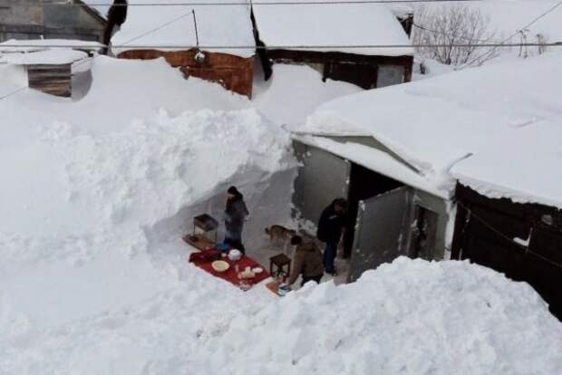 Так себе картинки