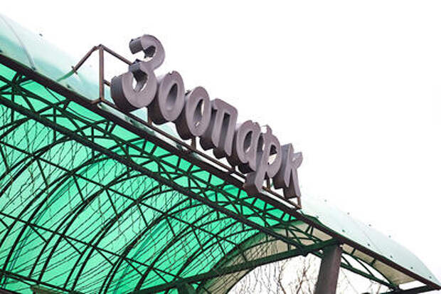 В Анапе закрылся зоопарк по решению суда