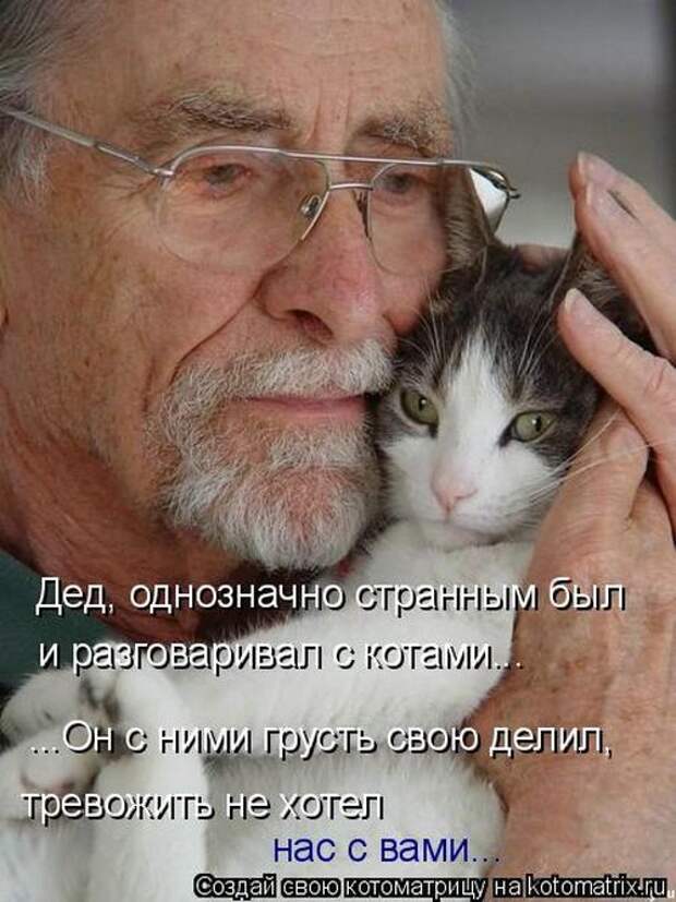 Котоматрицы(картинки с надписями)