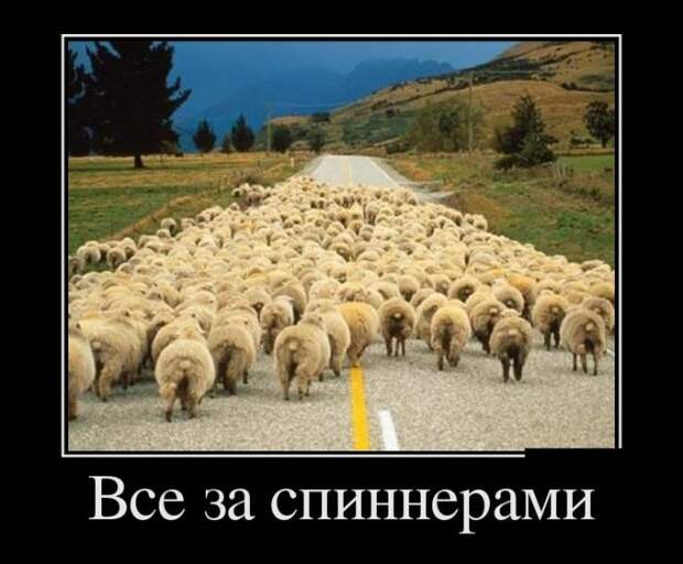 Демотиваторы (27 фото)