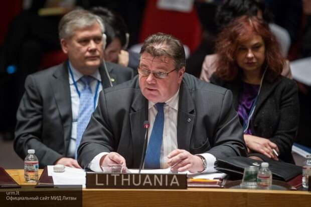 Глава МИД Литвы Линкявичус рассказал о «тревожных сигналах» в системе правосудия на Украине