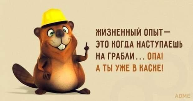 Прикольные картинки-21 фото-