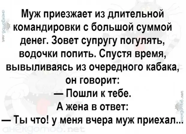 Моя дочь приехала из длительной командировки. Муж приехал. Анекдоты приезжает муж с командировки. Муж зовет жену погулять.