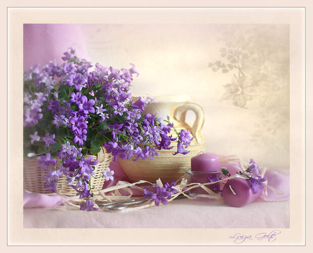 Фото жизнь - Luiza Gelts - Still  Lifes - Лиловое утро
