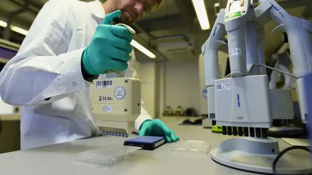 В Италии готовы начать испытывать вакцину от COVID-19 на животных