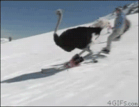 ����� ����, ��������, ����,  gif ��������, ��������, ������, ������, ���� ����, ������, ���������,  ��� �������� ������� ��������� �����, skiiing, �������, �������� �� ����� 