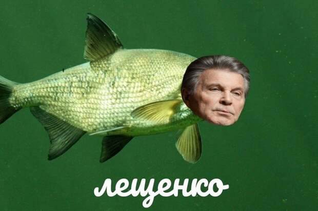 www.vsyako.net