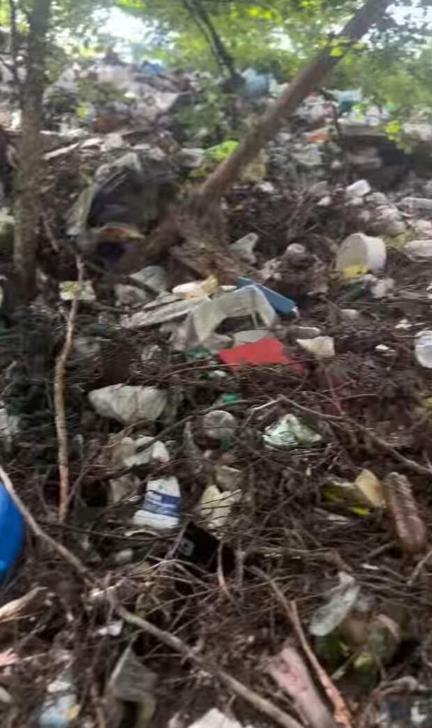 Свалку объемом полторы тысячи тонн начали вывозить в Гольянах