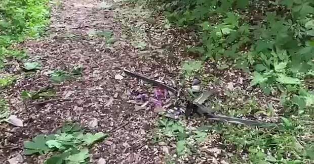 Video: Видео от Донецкая группа новостей|Донецк.ДНР