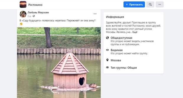 Фото дня: черепаха в парке «Сад будущего»