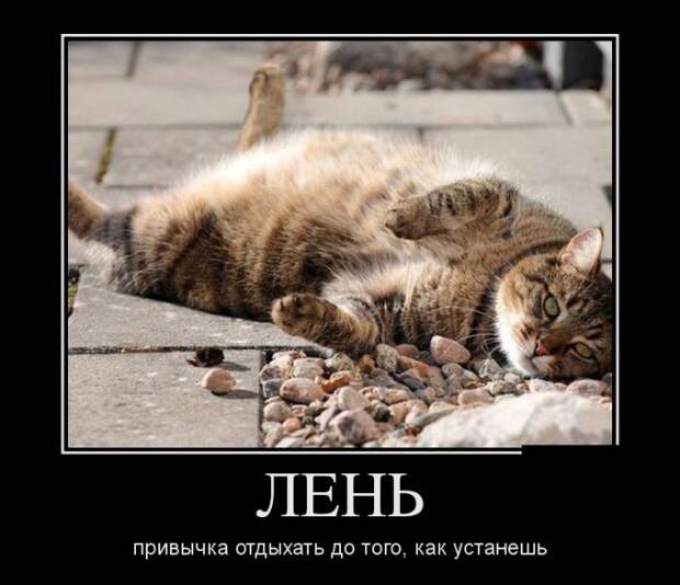 Прикольные демотиваторы для поднятия настроения (12 фото) Прикольные демотиваторы для поднятия настроения (12 фото)