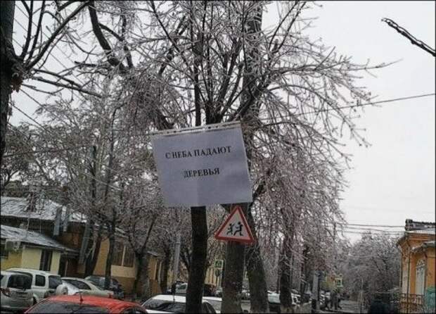 Прикольные объявления, вывески и реклама (23 фото)
