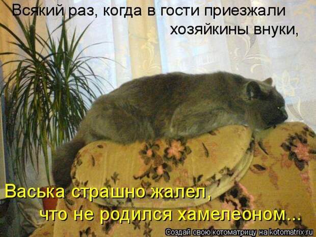 Мысли в слух :)