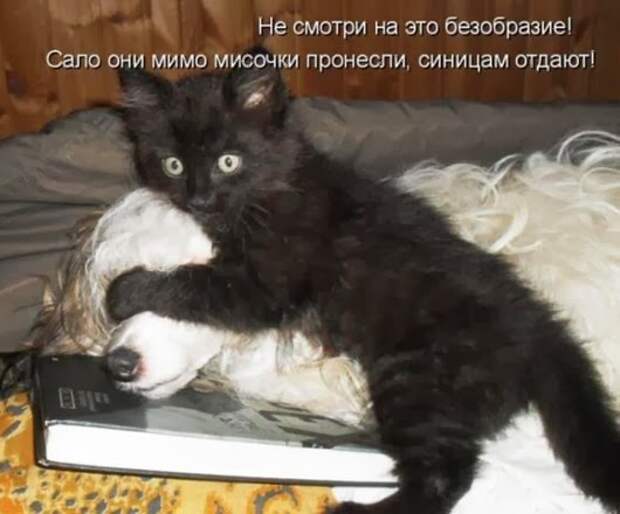 987c2317f119aa141d993880d95_prev