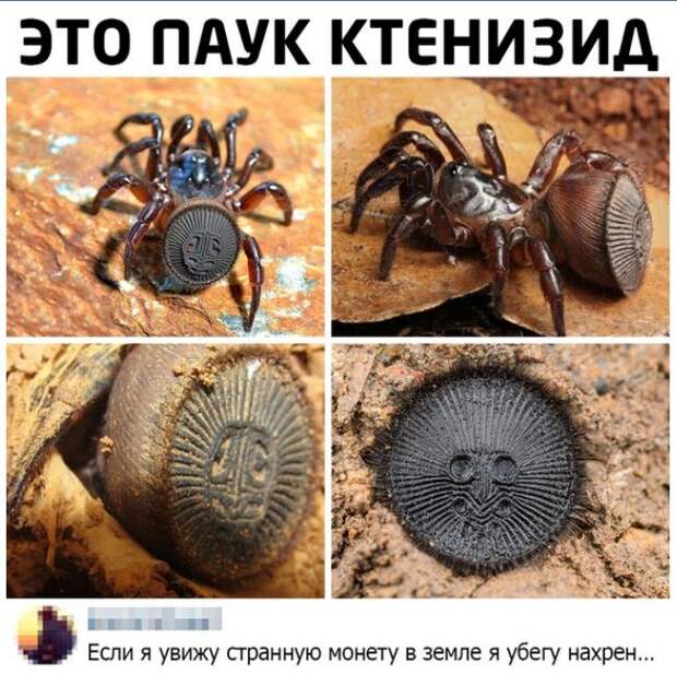 смешные картинки (6)