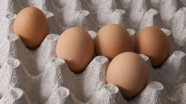 Врач Русакова раскрыла опасность чрезмерного употребления яиц