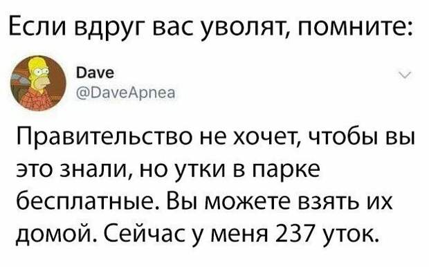 На случай, если карьера не задастся и придется голодать лайфхак, польза, прикол, смешно, соцсети, юмор