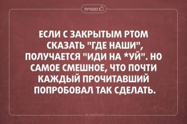 Прикольные цитаты и истории (50 картинок)