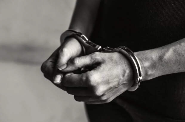 МВД Сербии задержало подозреваемых в подготовке покушения на Вучича