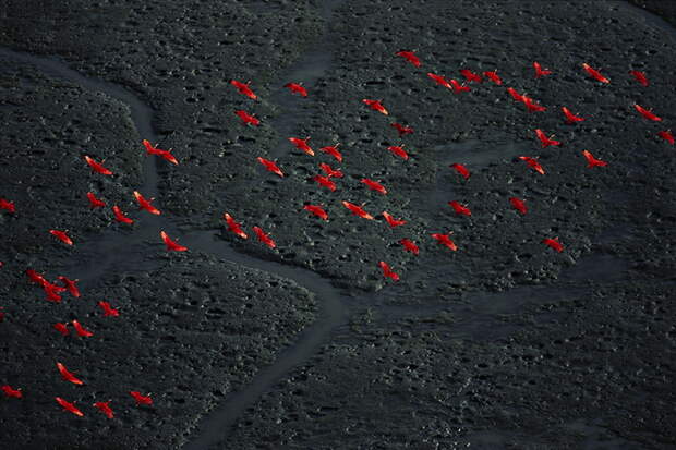 Яна Артюс–Бертран фото 21 (680x454, 313Kb)