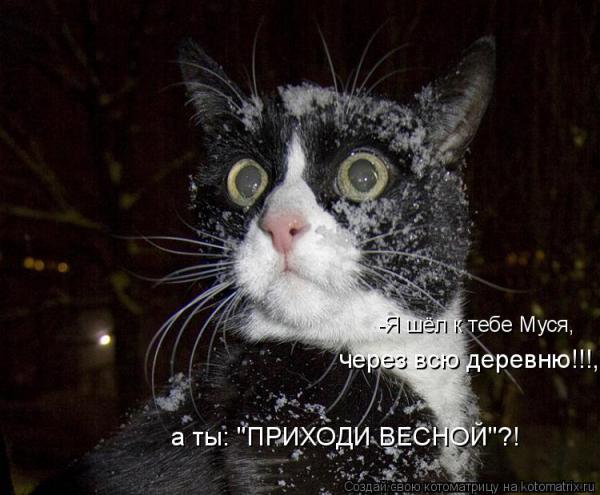 Мысли вслух :)