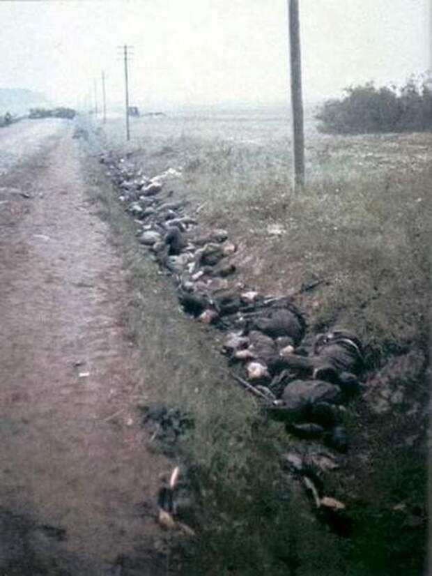 Моменты Великой Отечественной Войны война, история, фото