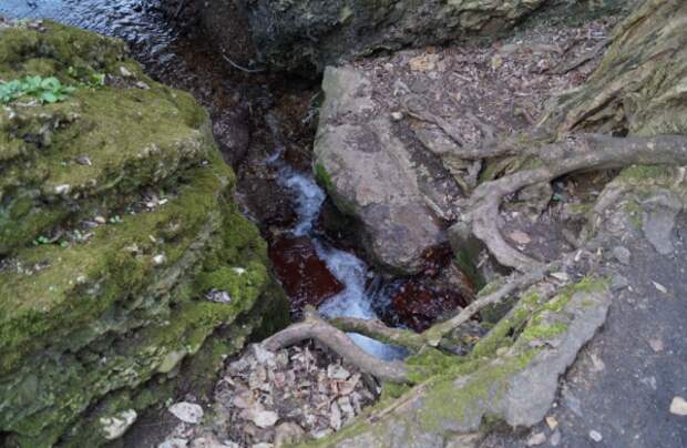 О чем «плачет» крымская скала в долине реки Западный Булганак