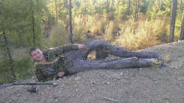 Прикольные картинки Прикольные картинки