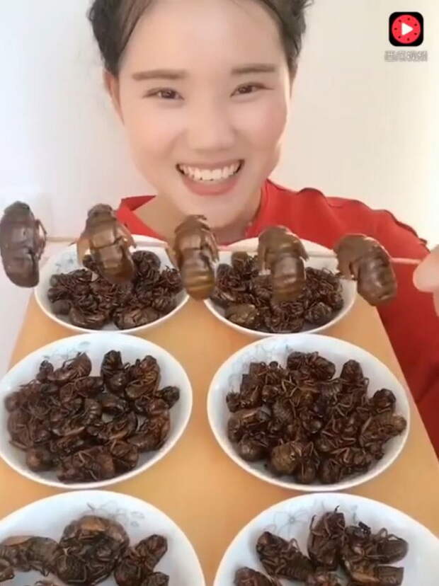 Китаянка жрет насекомых как семечки