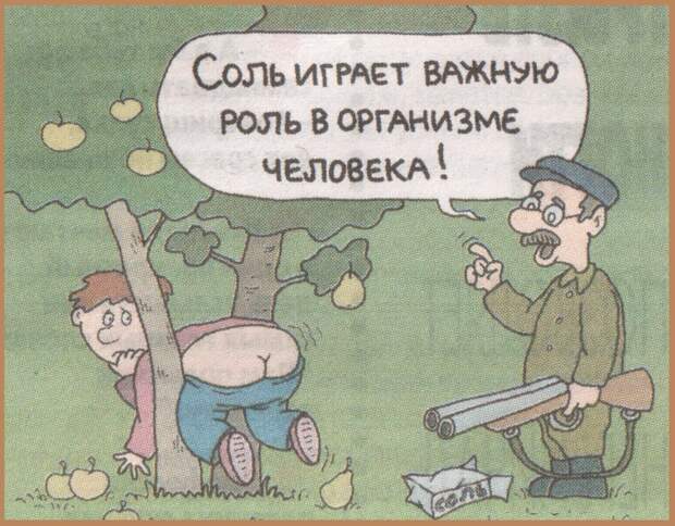 ВИннЕГРЕТ 62 ВИннЕГРЕТ 62