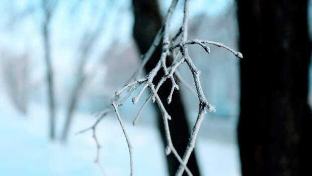 До +6. О погоде в Барнауле 8 марта