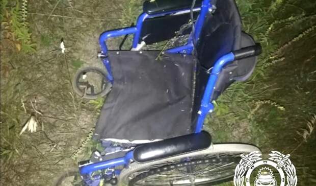 В Башкирии 19-летний водитель насмерть сбил инвалида на коляске
