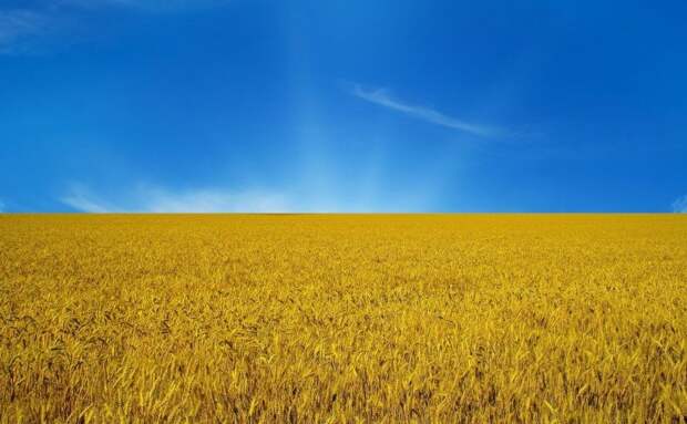 С укросайта: Украина прет вперед как бульдозер!!! (И ведь они сами в это верят!!! )