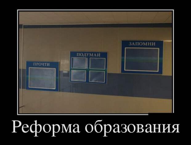 Демотиваторы