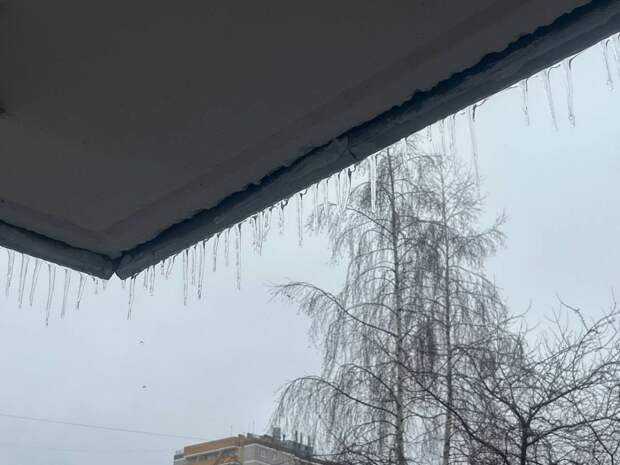 В Тульской области 7 марта ожидается снег с дождем и температура до +2,4 градуса