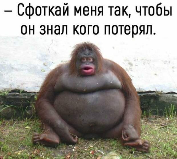 Картинки с надписями Картинки с надписями