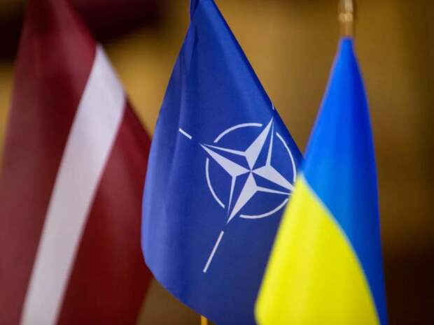 МИД Испании: НАТО никогда не рассматривал вопрос членства Украины