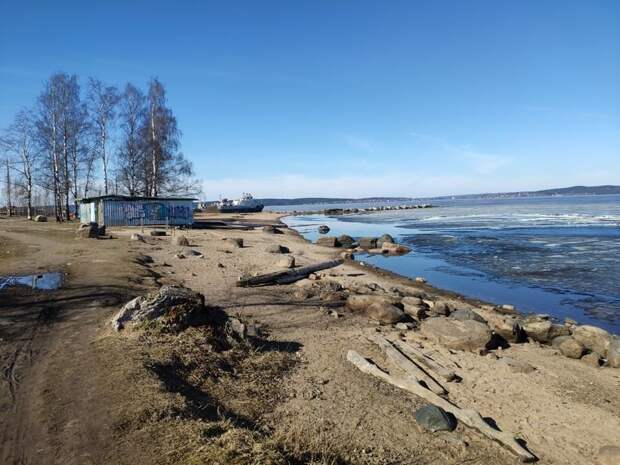 Карелия новости онего. Сайнаволок Петрозаводск пляж. Петрозаводск на берегу Онежского озера. Пляж в Петрозаводске на Онежском. Петрозаводск пляж на Онежском озере.