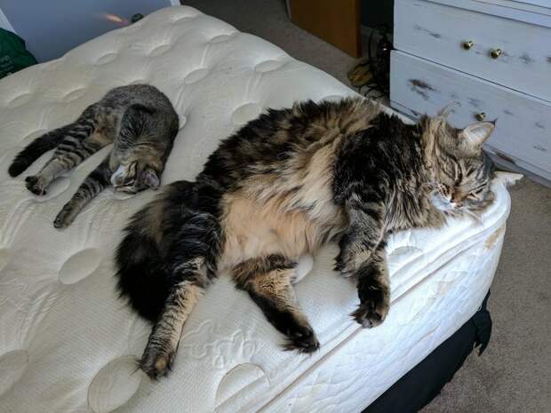 20+ фотографий, которые доказывают, что все узнаешь сравнивая 20+ фотографий, которые доказывают, что все узнаешь сравнивая