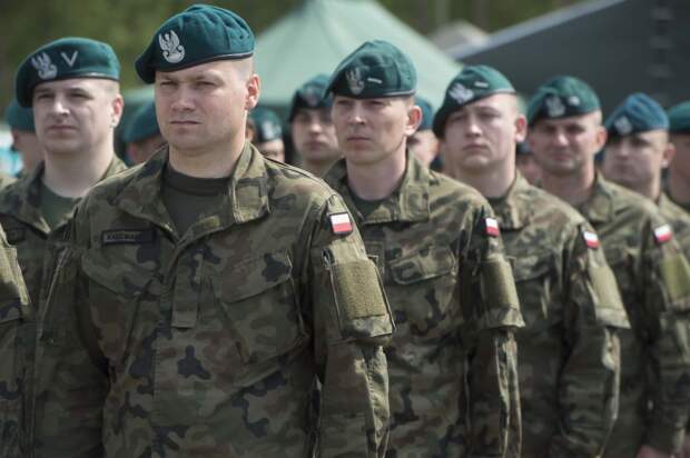 Страны Балтии и Польша пригрозили ввести войска на Украину в случае серьезных успехов российских войск — Spiegel