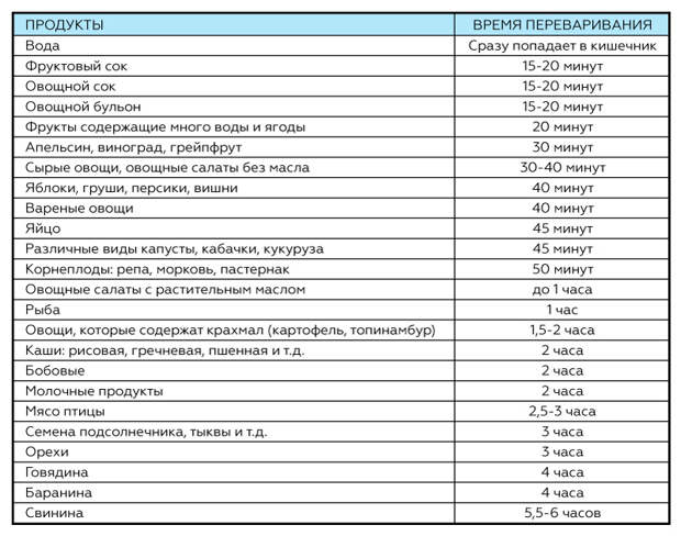 сколько переваривается пища