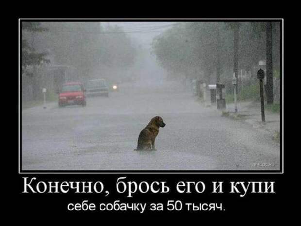 Демотиваторы со смыслом 19.04.11.