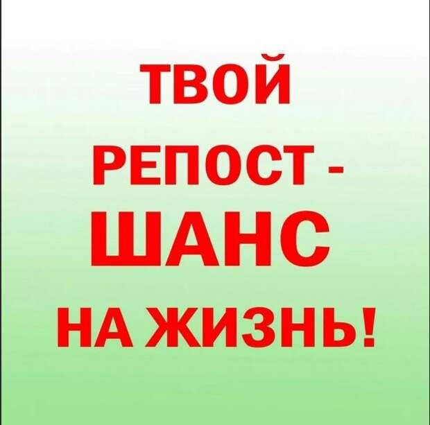 Подарите малышам шанс на жизнь, не дайте погибнуть.....