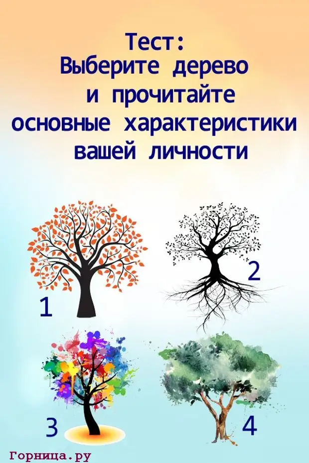 Результат теста дерево. Тест. Тест выбери дерево. Психологические тесты. Психологический тест с выбором деревьев.